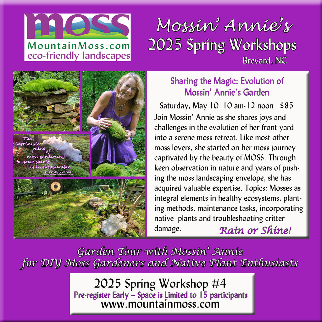 2025 Workshop #4 -- Sharing the Magic: Evolution of Mossin' Annie's Moss Garden