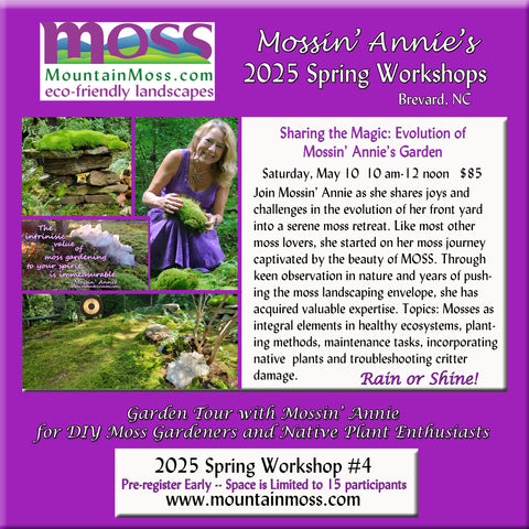 2025 Workshop #4 -- Sharing the Magic: Evolution of Mossin' Annie's Moss Garden