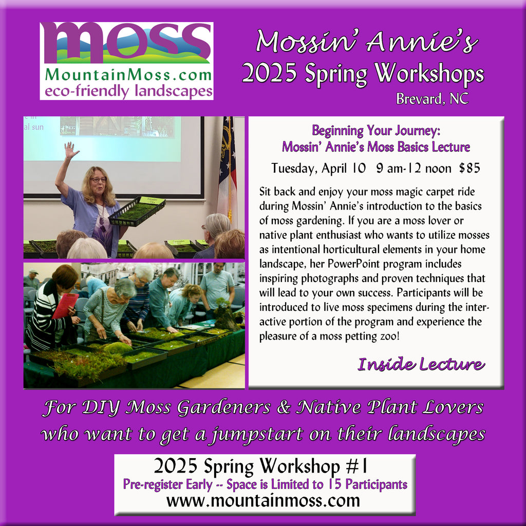 2025 Workshop #1 -- Beginning Your Journey: Mossin' Annie's Moss Gardening Basics Lecture