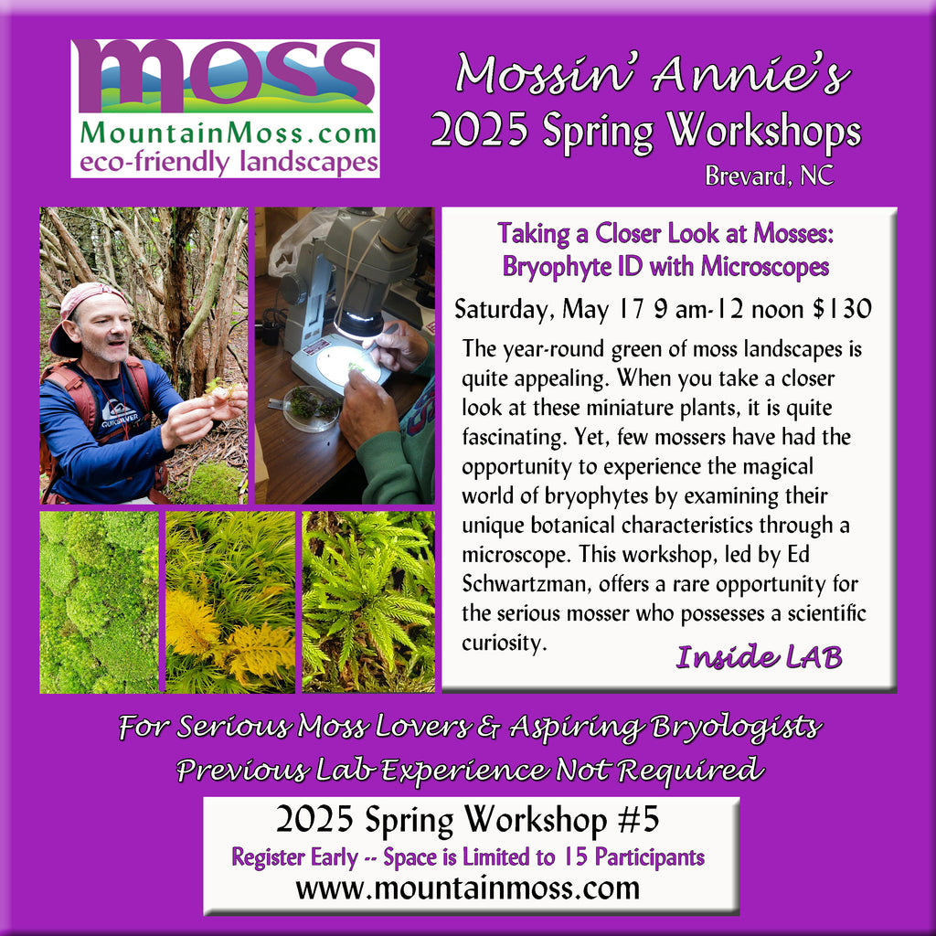 2025 Workshop #5 -- Taking a Closer Look at Mosses: Bryophyte ID in Microscope Lab