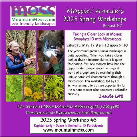 2025 Workshop #5 -- Taking a Closer Look at Mosses: Bryophyte ID in Microscope Lab