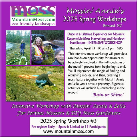 2025 Workshop #3 -- Once in a Lifetime Experience for Mossers:  Responsible Moss Harvesting, Hands-on Installation, Minimal Maintenance Approach