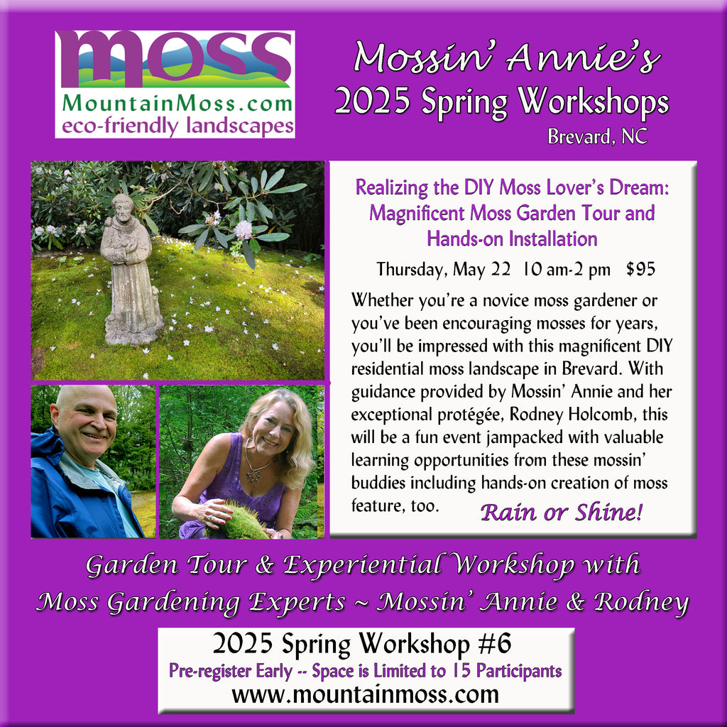 2025 Workshop #6 -- Realizing the DIY Moss Lover's Dream: Magnificent Moss Garden Tour & Hands-on Installation