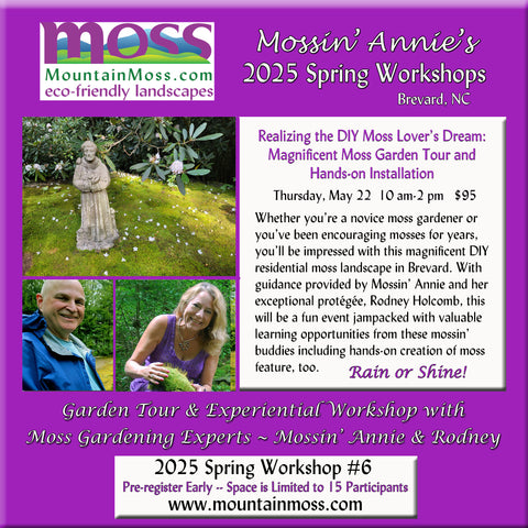 2025 Workshop #6 -- Realizing the DIY Moss Lover's Dream: Magnificent Moss Garden Tour & Hands-on Installation