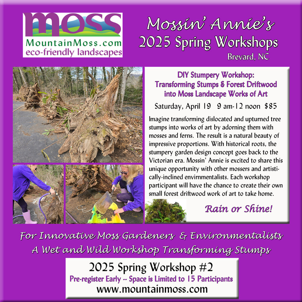 2025 Workshop #2 -- DIY Stumpery Workshop: Transforming Stumps and Forest Driftwood into MOSS Landscape Works of Art