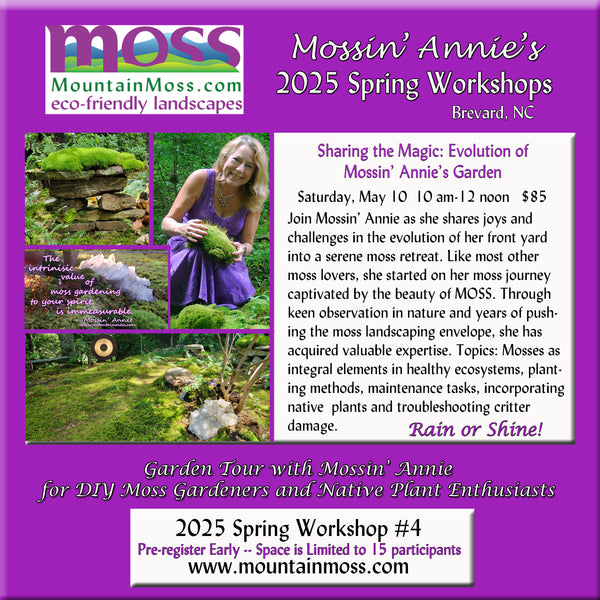 2025 Workshop #4 -- Sharing the Magic: Evolution of Mossin' Annie's Moss Garden