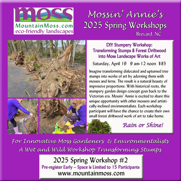 2025 Workshop #2 -- DIY Stumpery Workshop: Transforming Stumps and Forest Driftwood into MOSS Landscape Works of Art