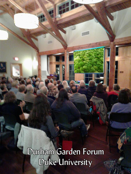 Lectures & Workshops