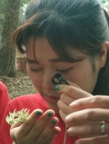 Bryophyte ID Kit -- Currently Unavailable