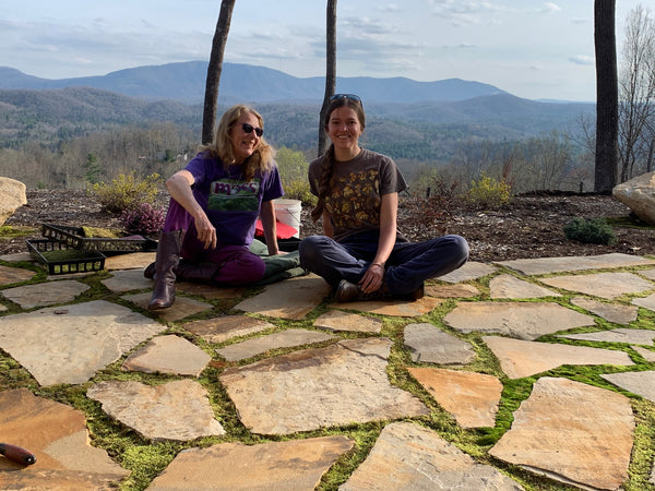 Moss and Stone Patio