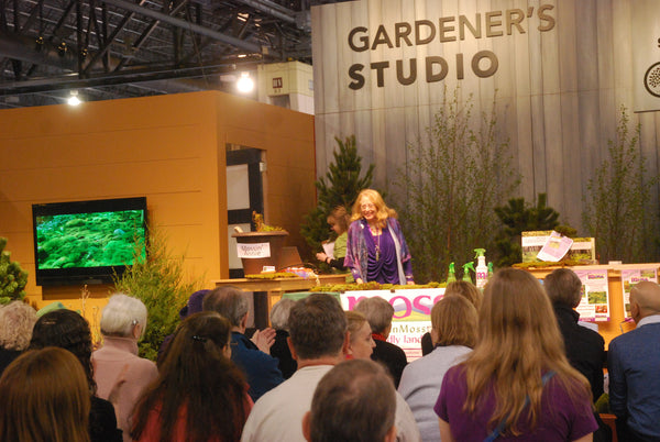 Lectures & Workshops