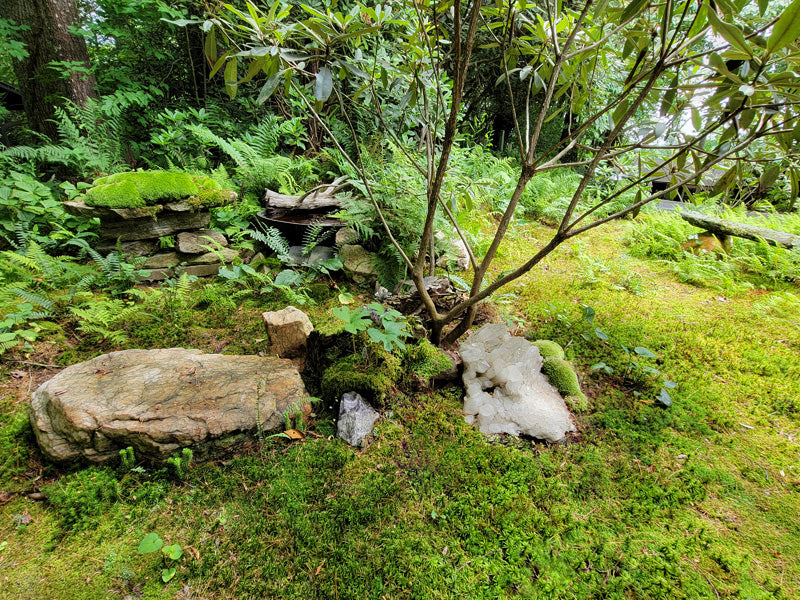 Moss landscaping sales