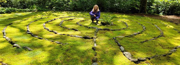 Mossin' Annie's Moss Shop